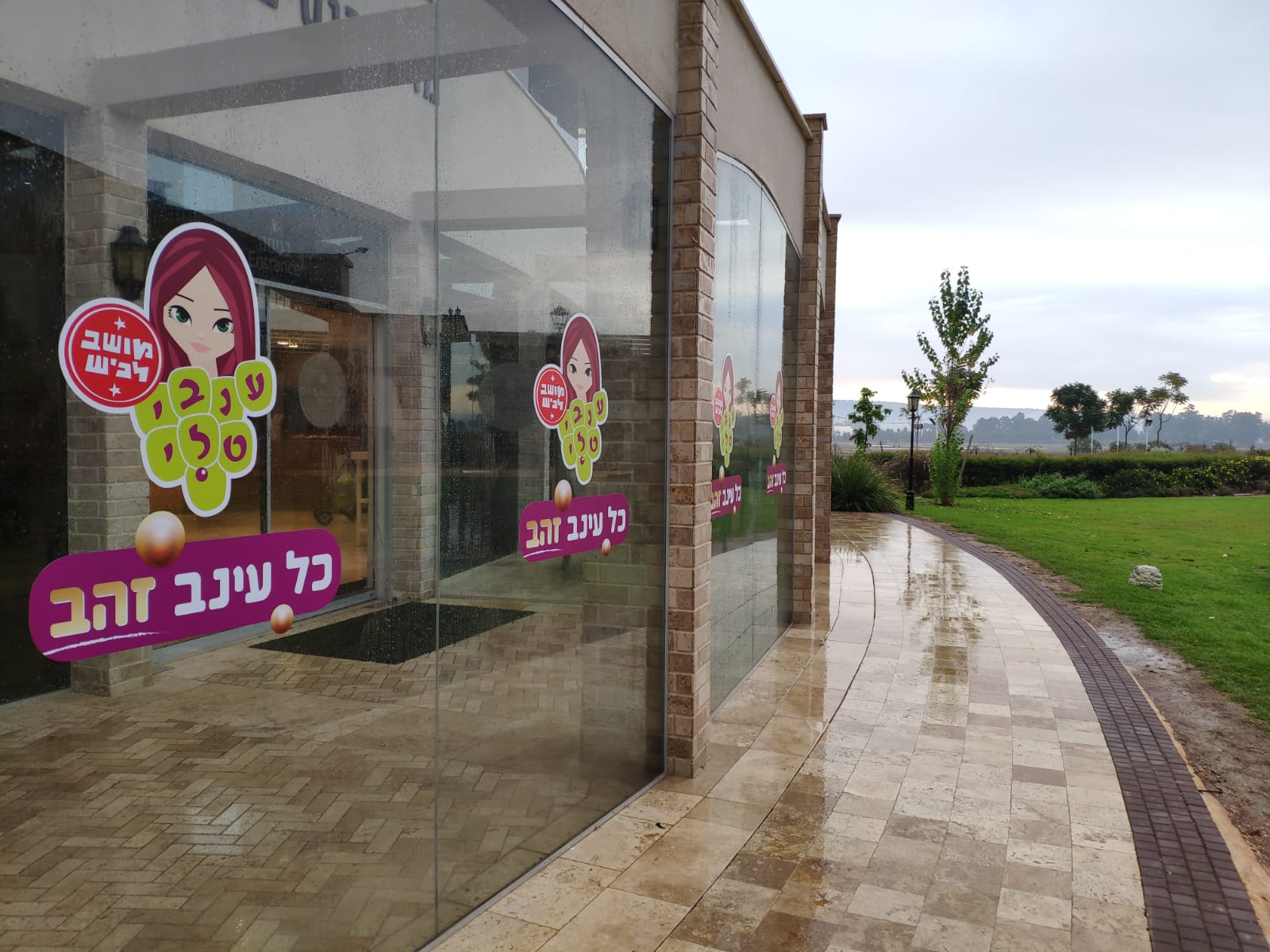 ענבי טלי | כנס שנתי | מיתוג ועיצוב מונדו