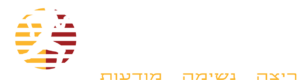 לוגו ONEZONE אמיר רוזן